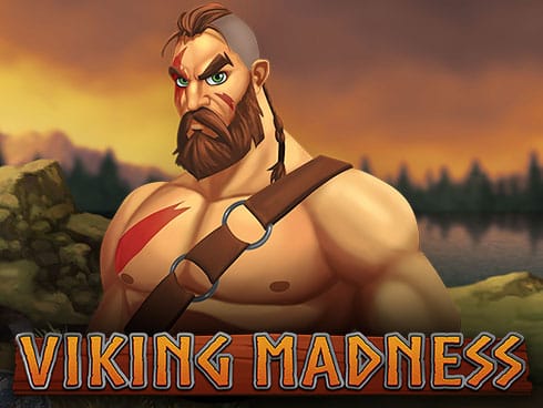 وائکنگ میڈنیس game icon